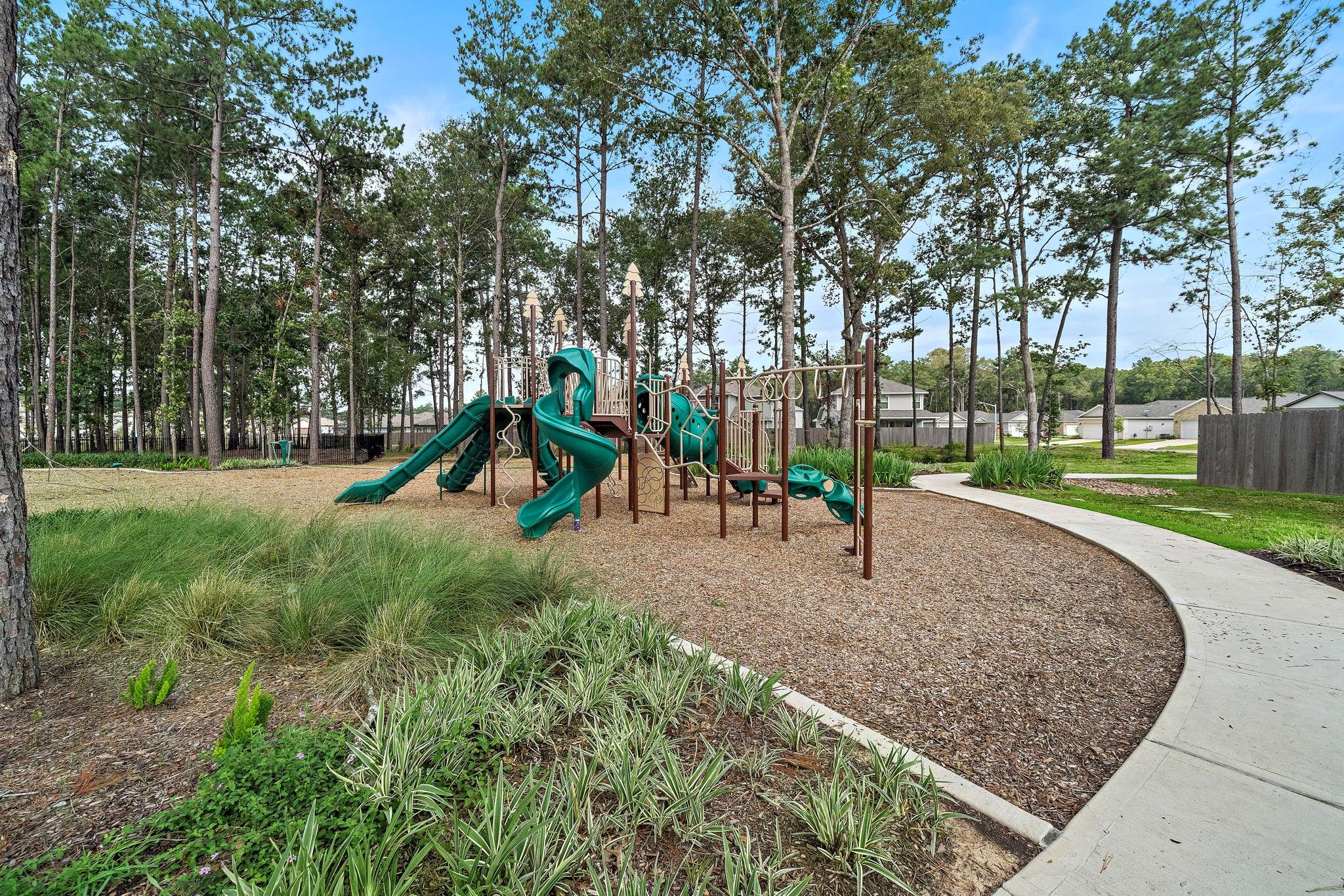 20902 Wildbird Cherry Lane