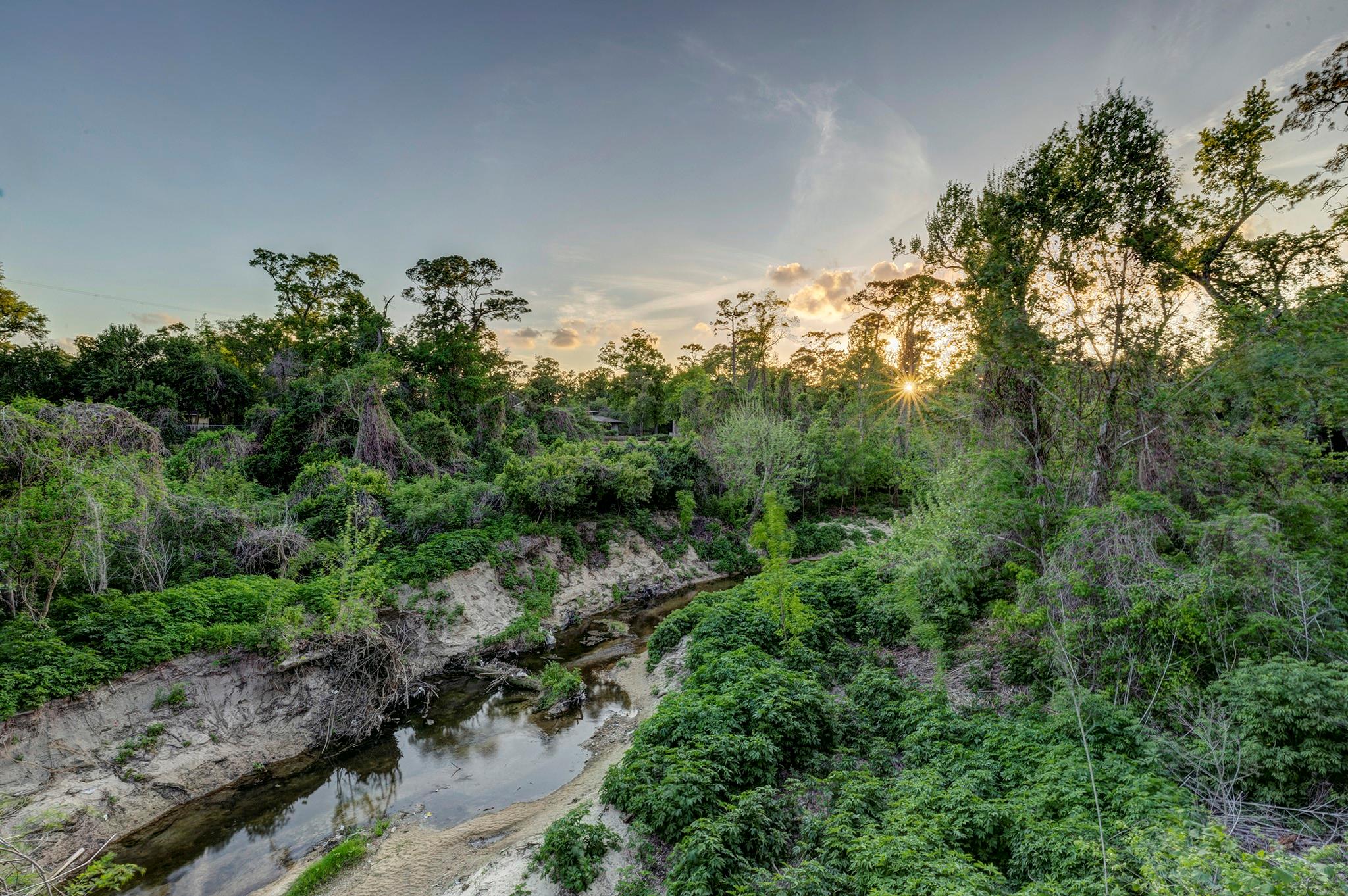 8317 Hunters Creek Drive