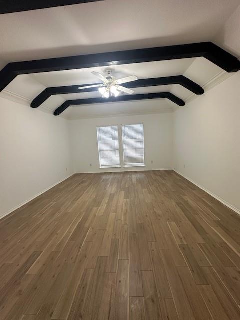 21923 Amber Elm Trail