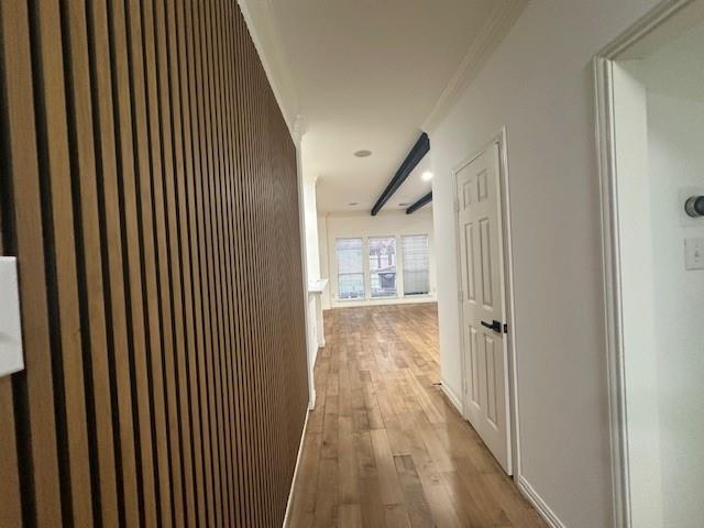 21923 Amber Elm Trail