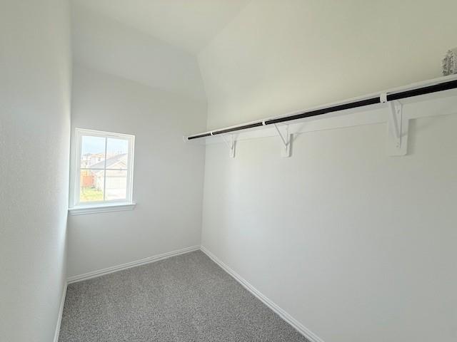 22215 Rome Breeze Drive