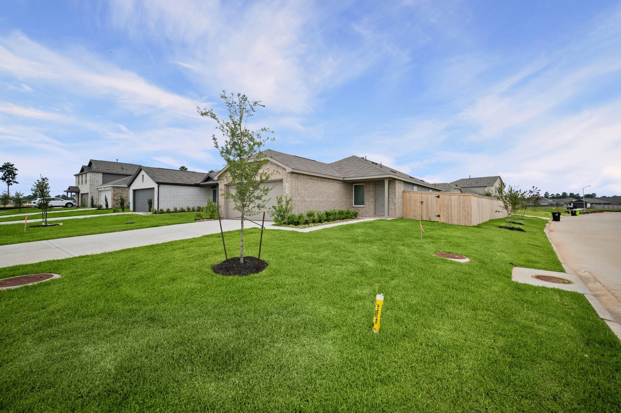 702 Umbrella Tree Drive