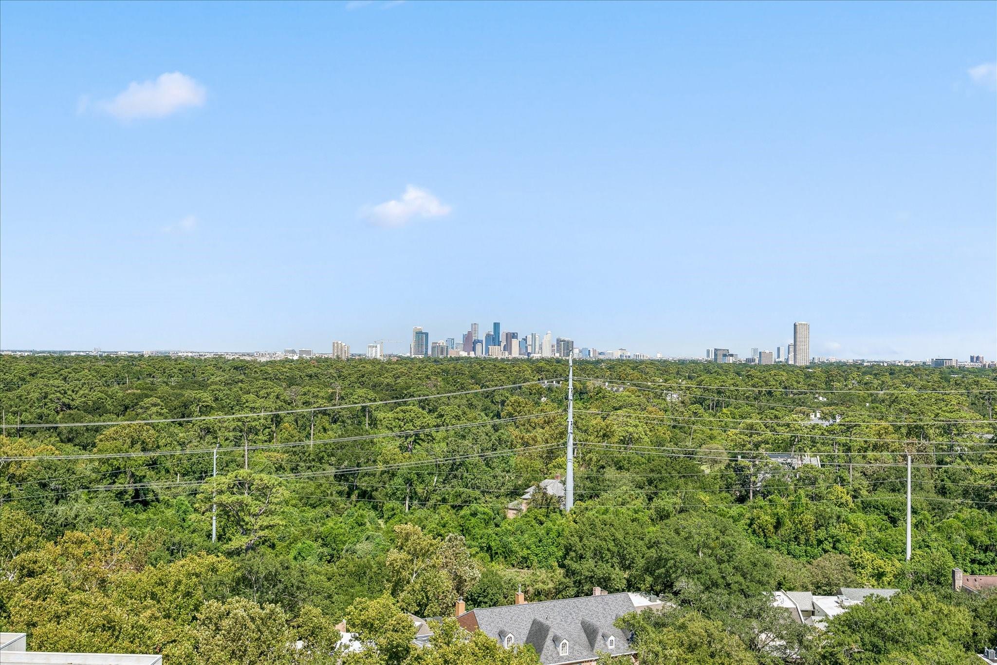 49 Briar Hollow Lane # 1503