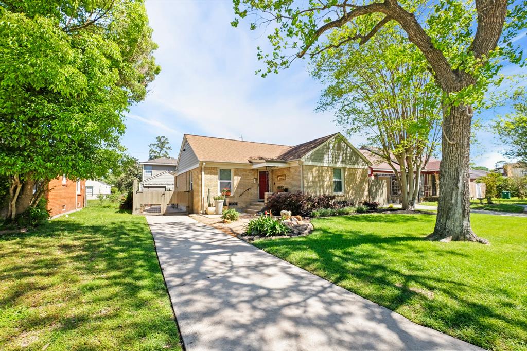 313 Graceland Street