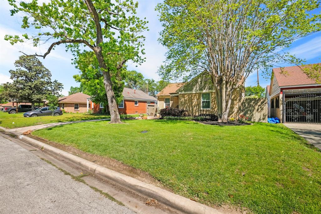 313 Graceland Street