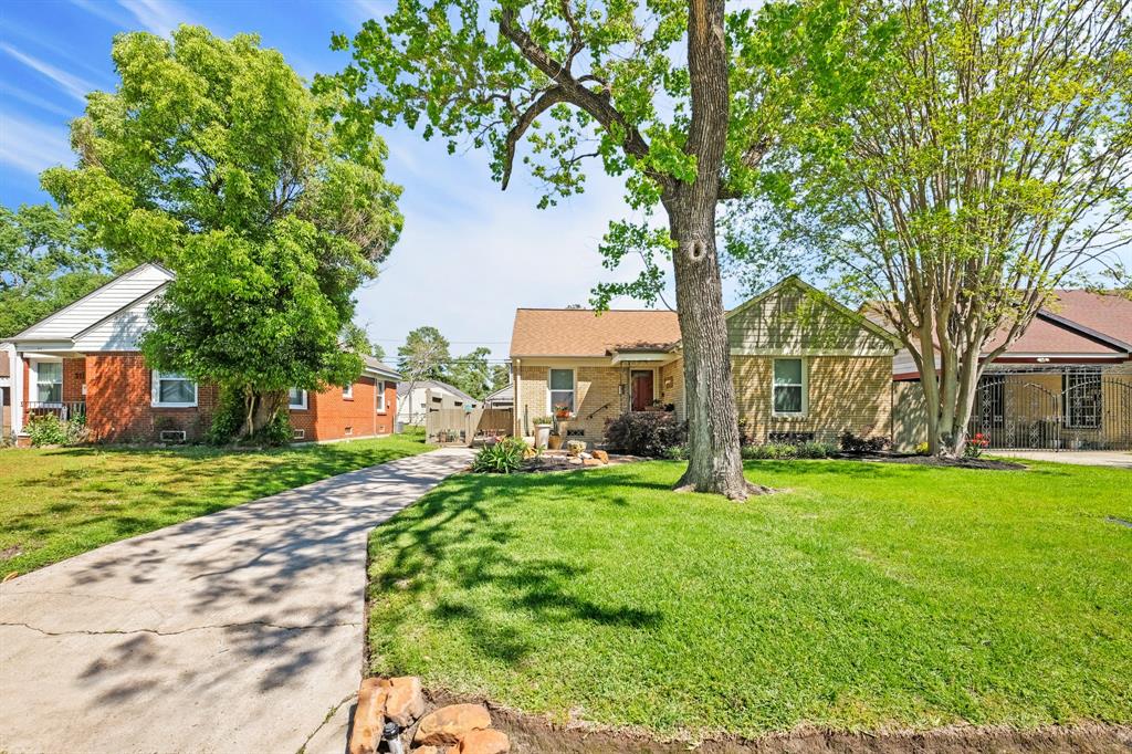 313 Graceland Street