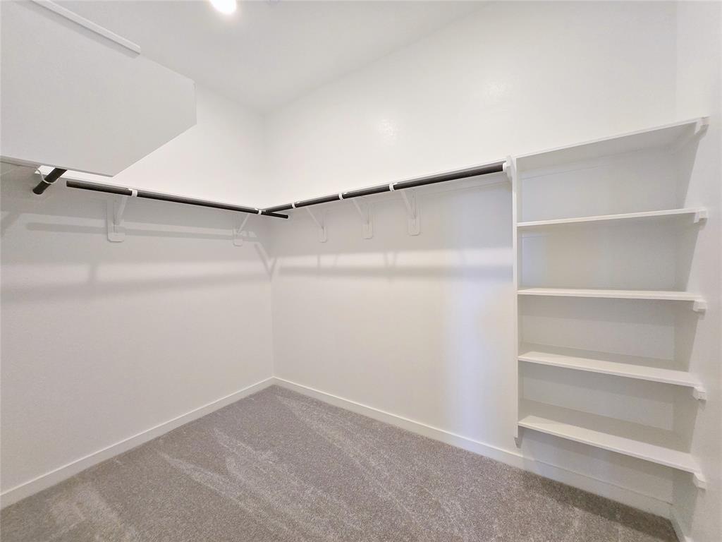 28622 Great Saddle Trail