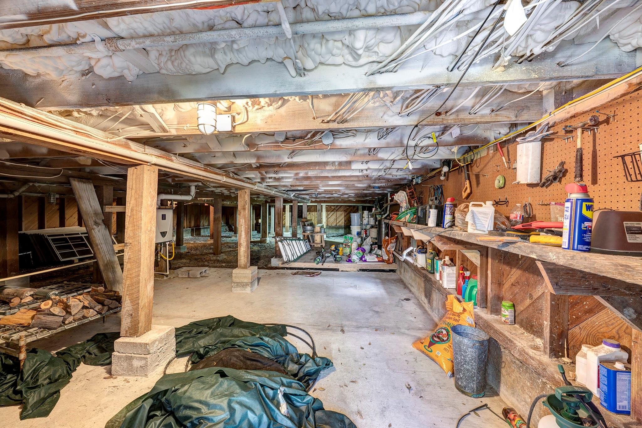 1902 Bolsover Street