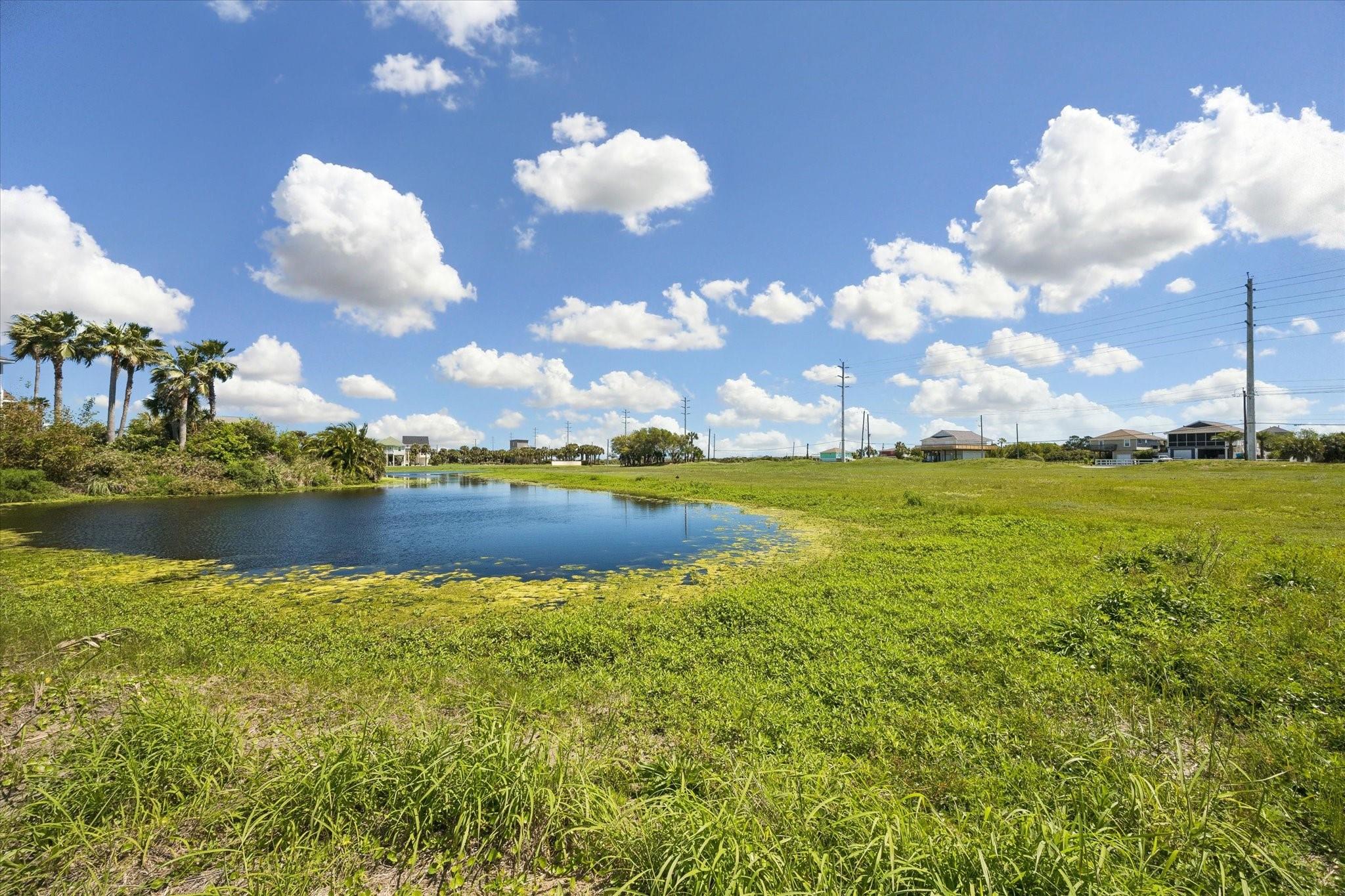 13350-13358 Stewart Road