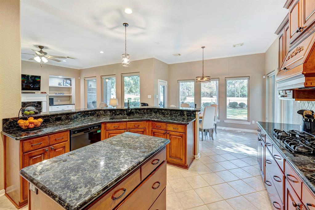 20214 Stormy Pine Lane