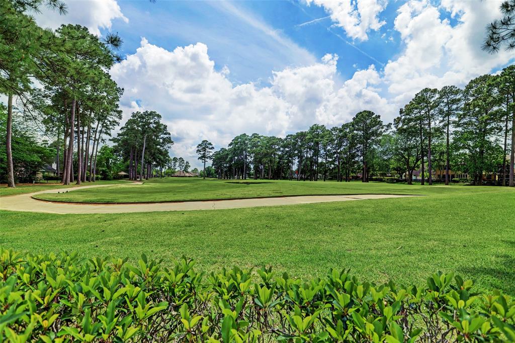 20214 Stormy Pine Lane