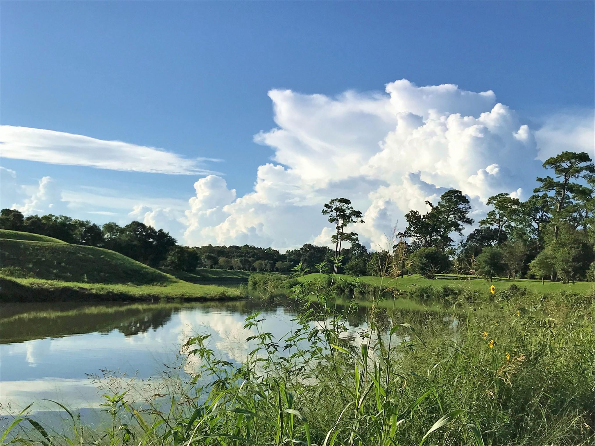 6719 Meadowlawn Street