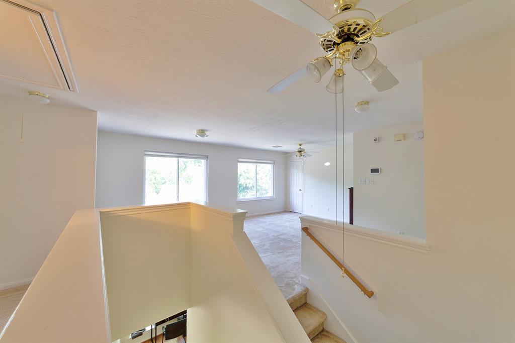 3831 Canton Drive