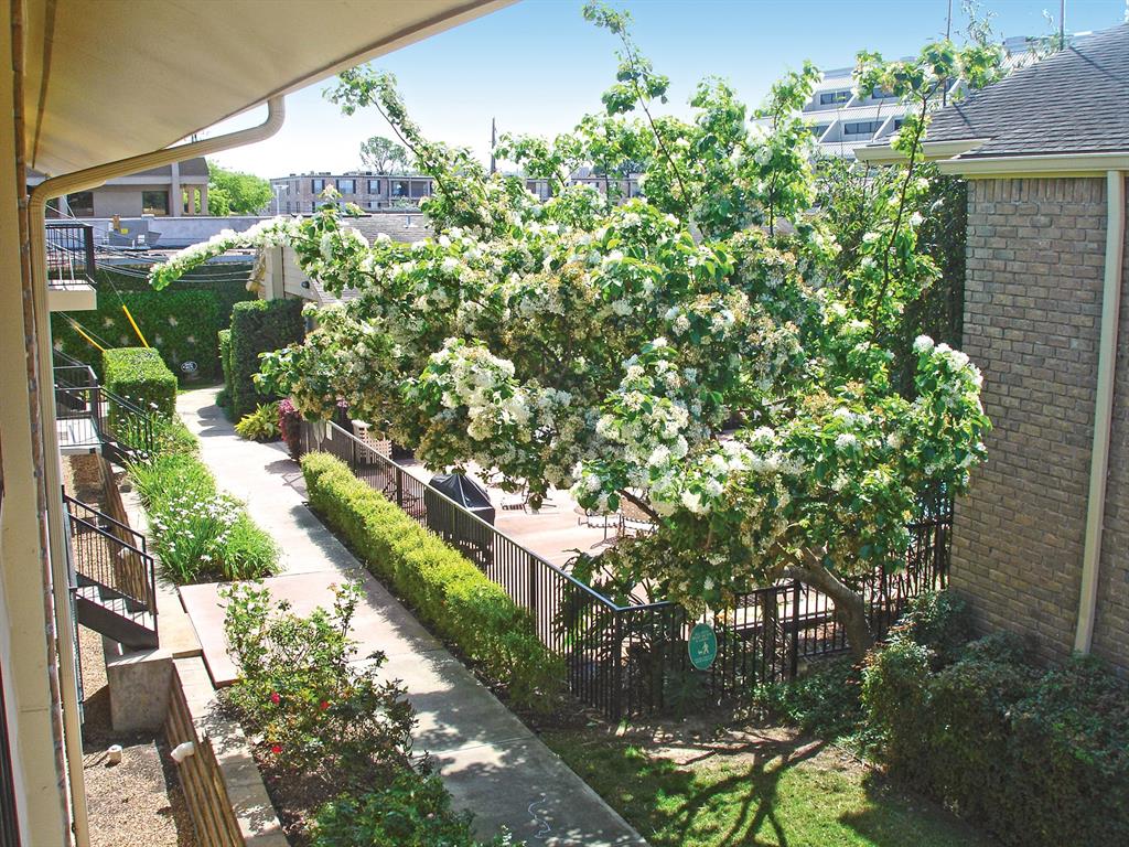 3131 Cummins Street # 70