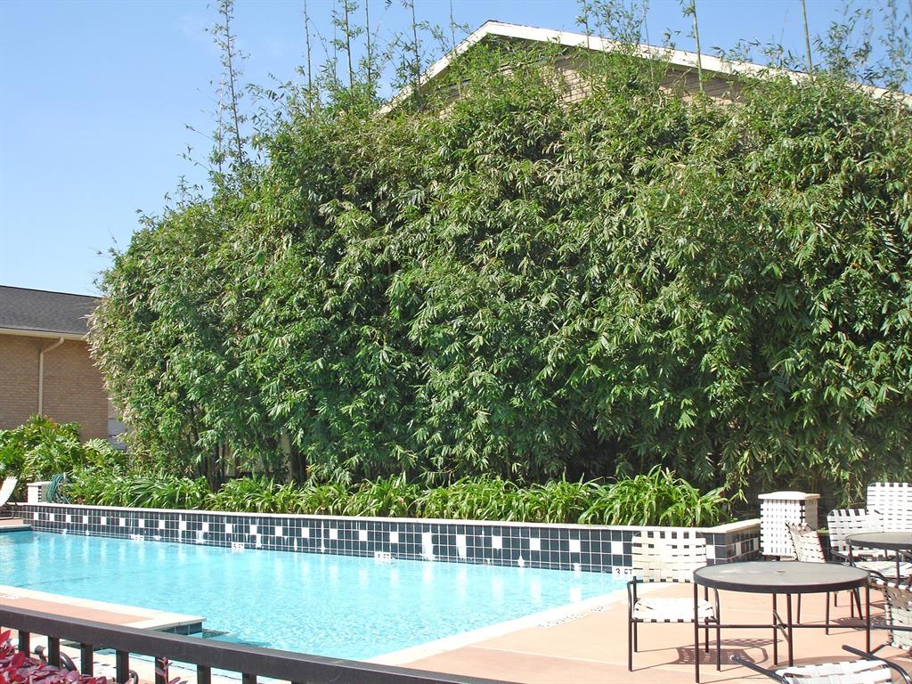 3131 Cummins Street # 70