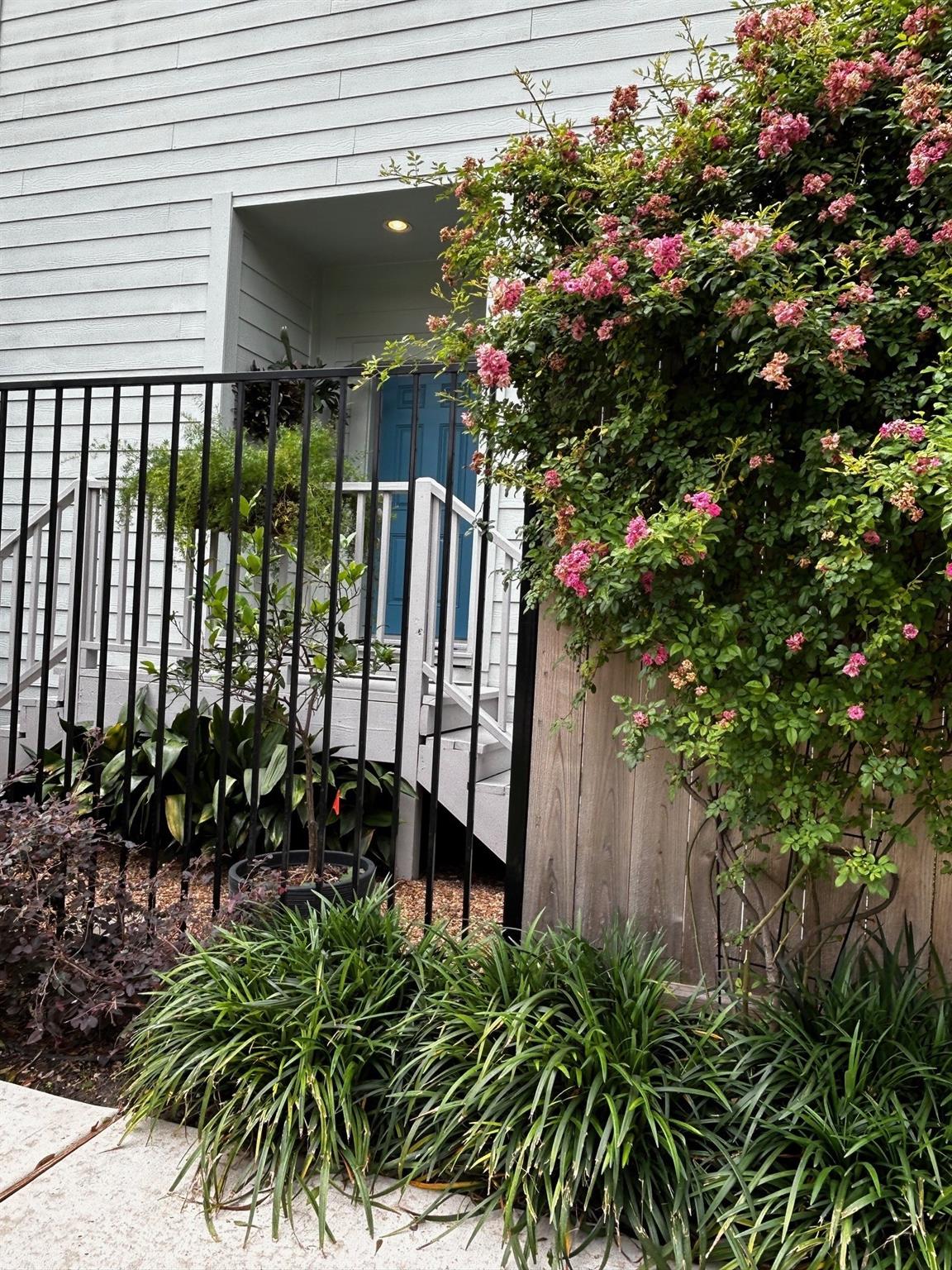 2424 Couch Street