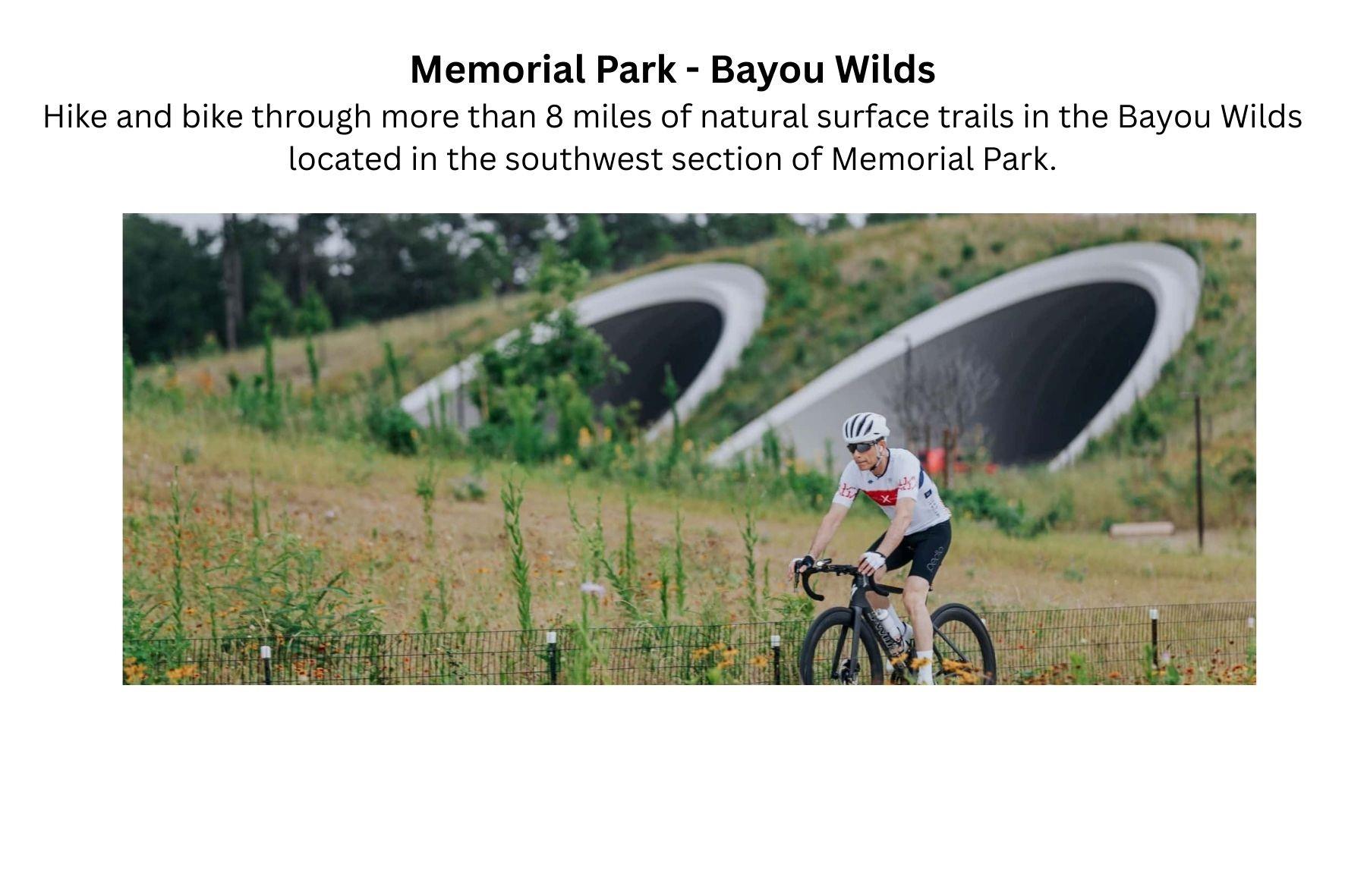 4536 Sunburst Street