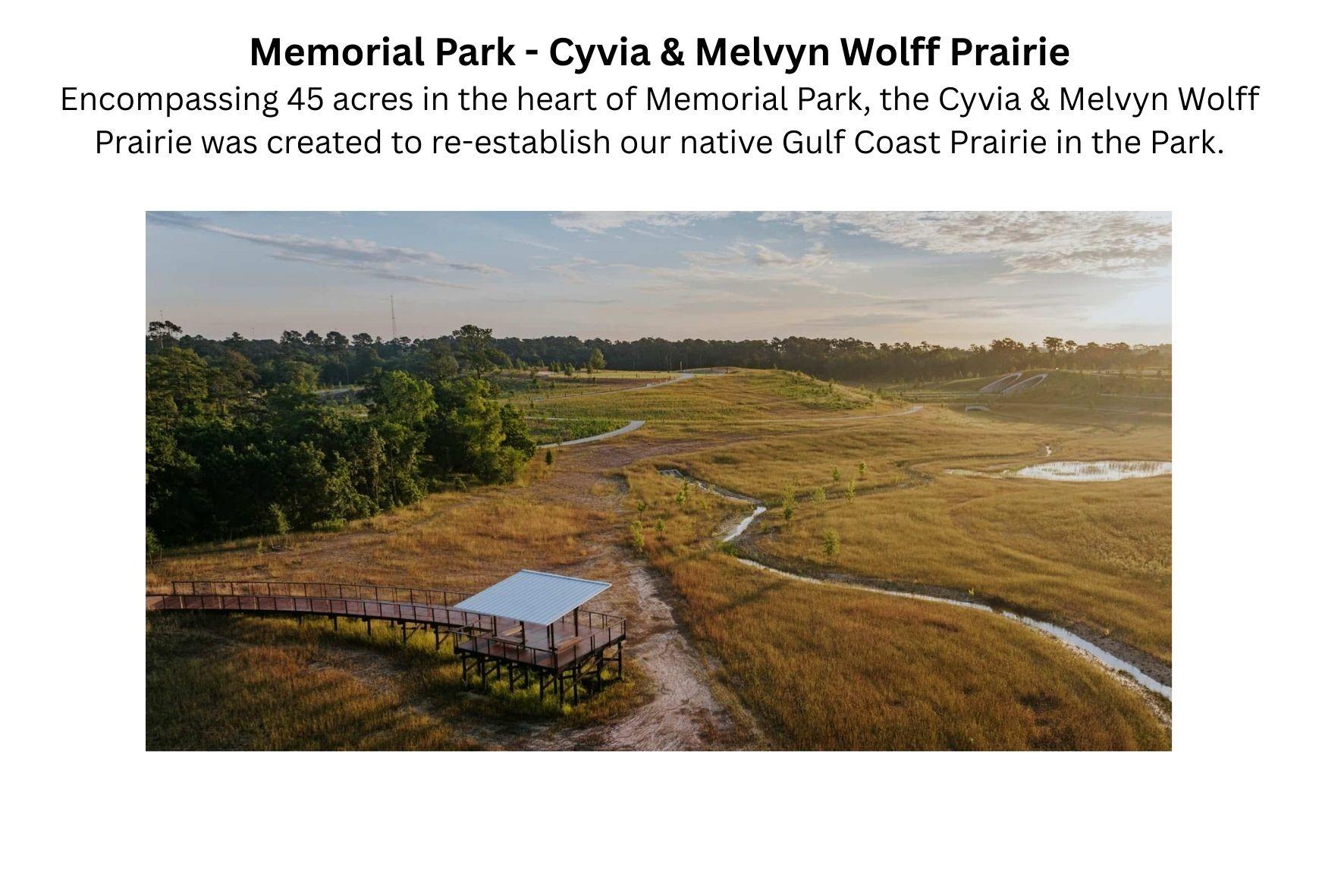 4536 Sunburst Street