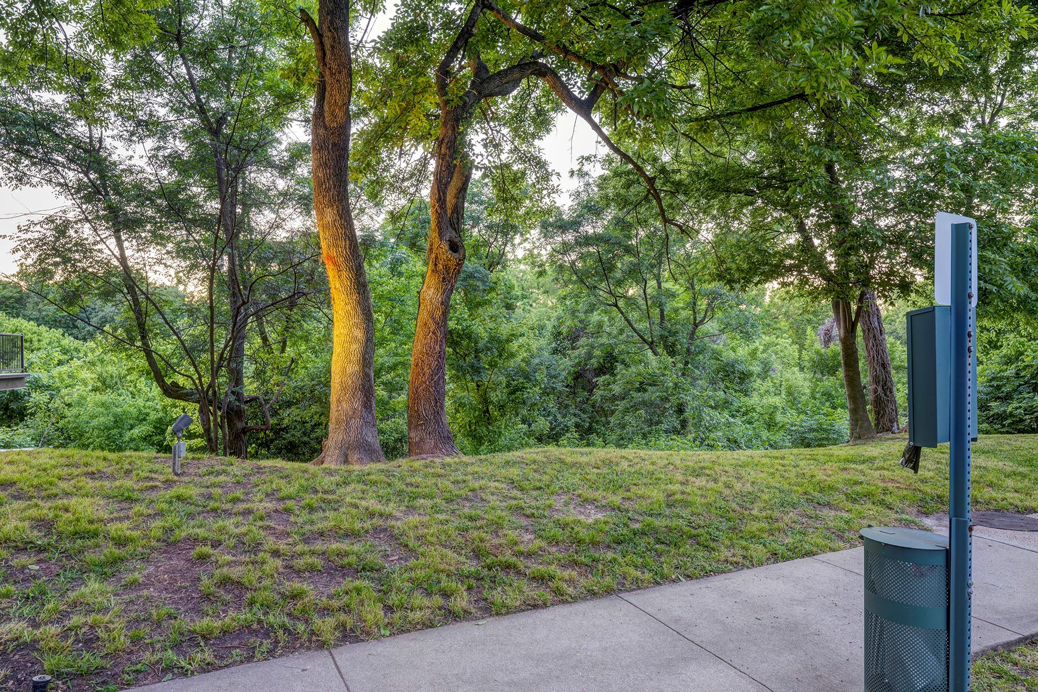 102 Quitman Street # 207