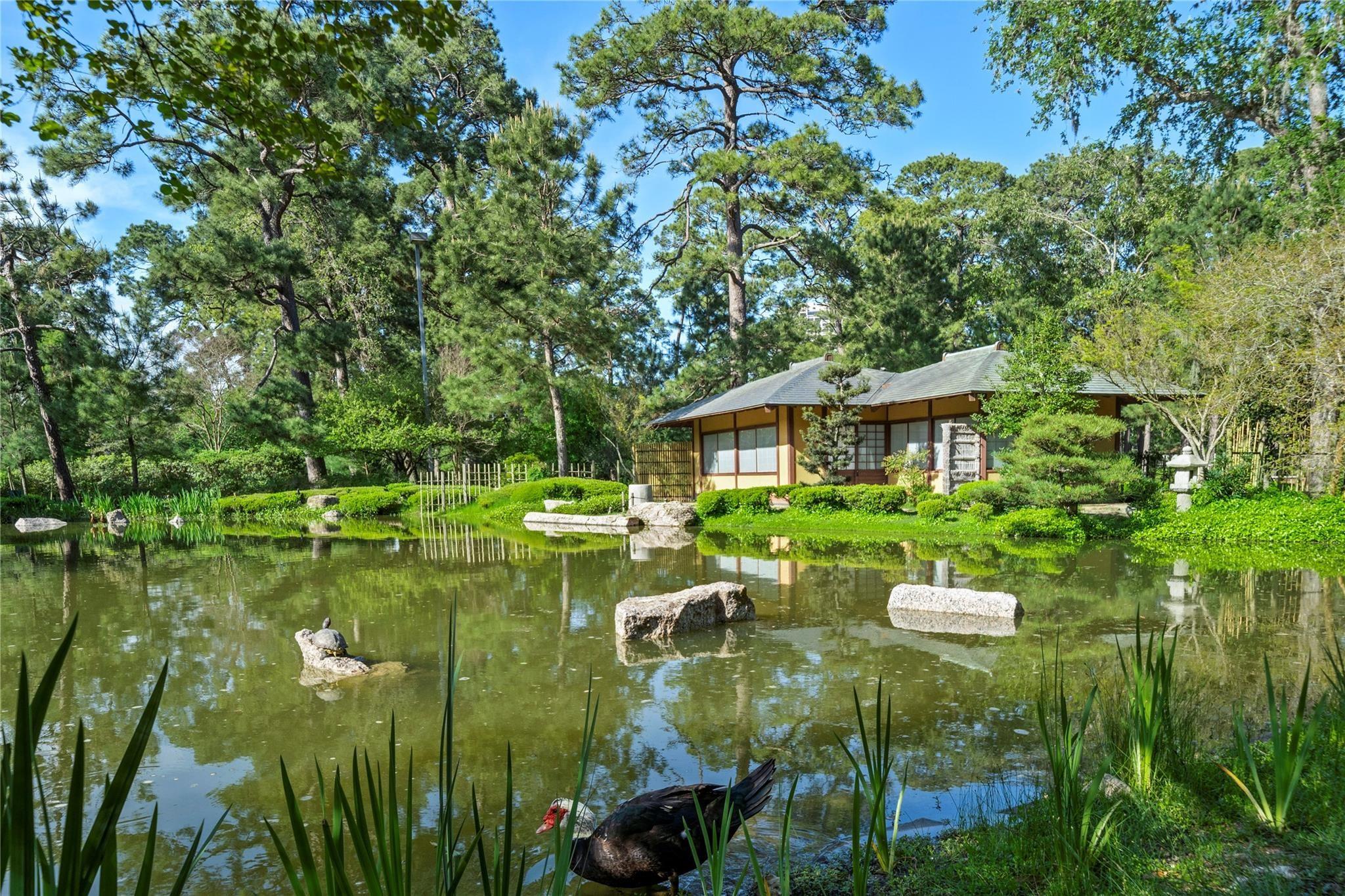 1111 Hermann Drive # 28D