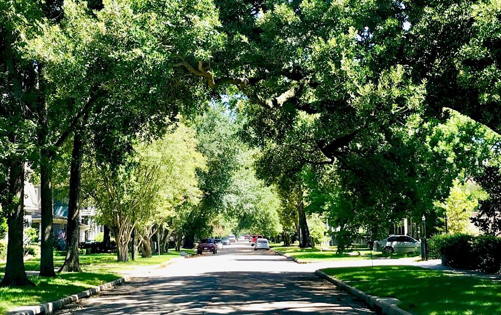 1229 Cortlandt Street