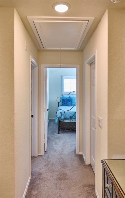 4007 Starbright Street