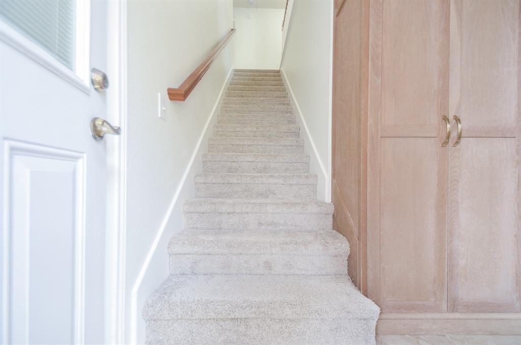 3355 Piney Forest Drive