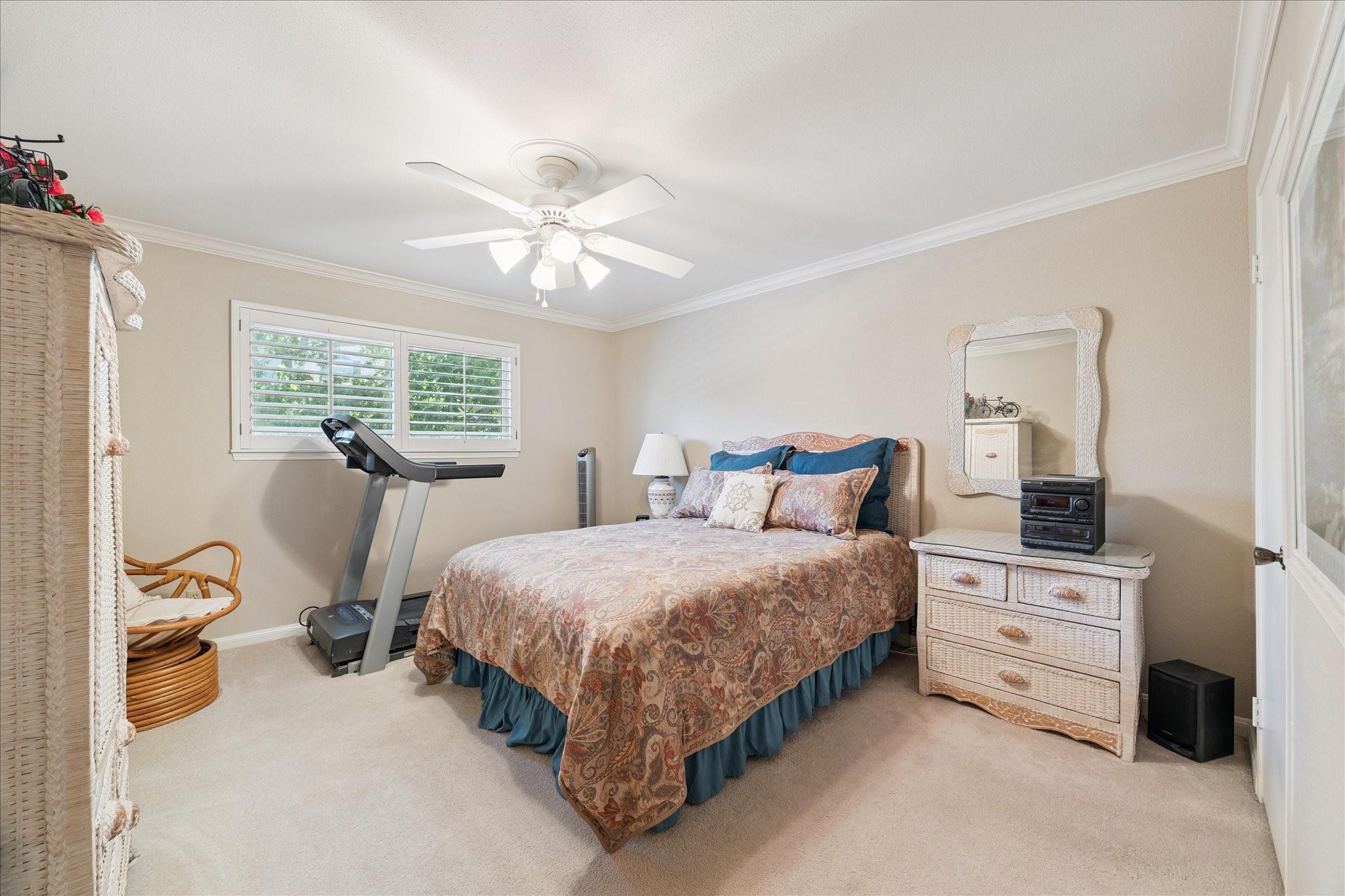 7445 Brompton Street