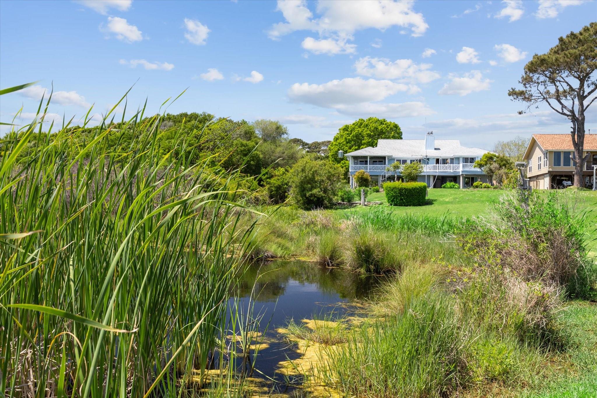 5113 Oleander Street