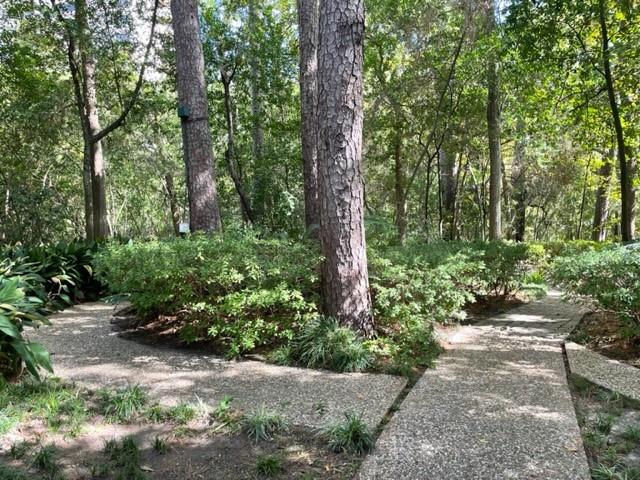 45 Briar Hollow Lane # 10