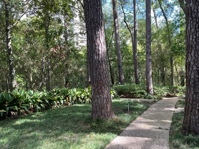 45 Briar Hollow Lane # 10