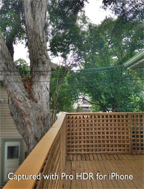 1538 Welch Street Unit: 1/2