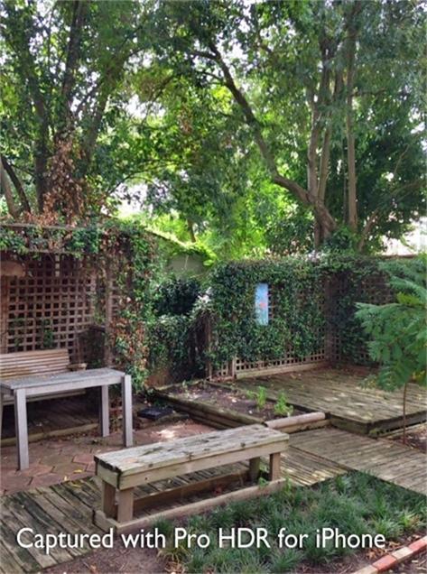 1538 Welch Street Unit: 1/2