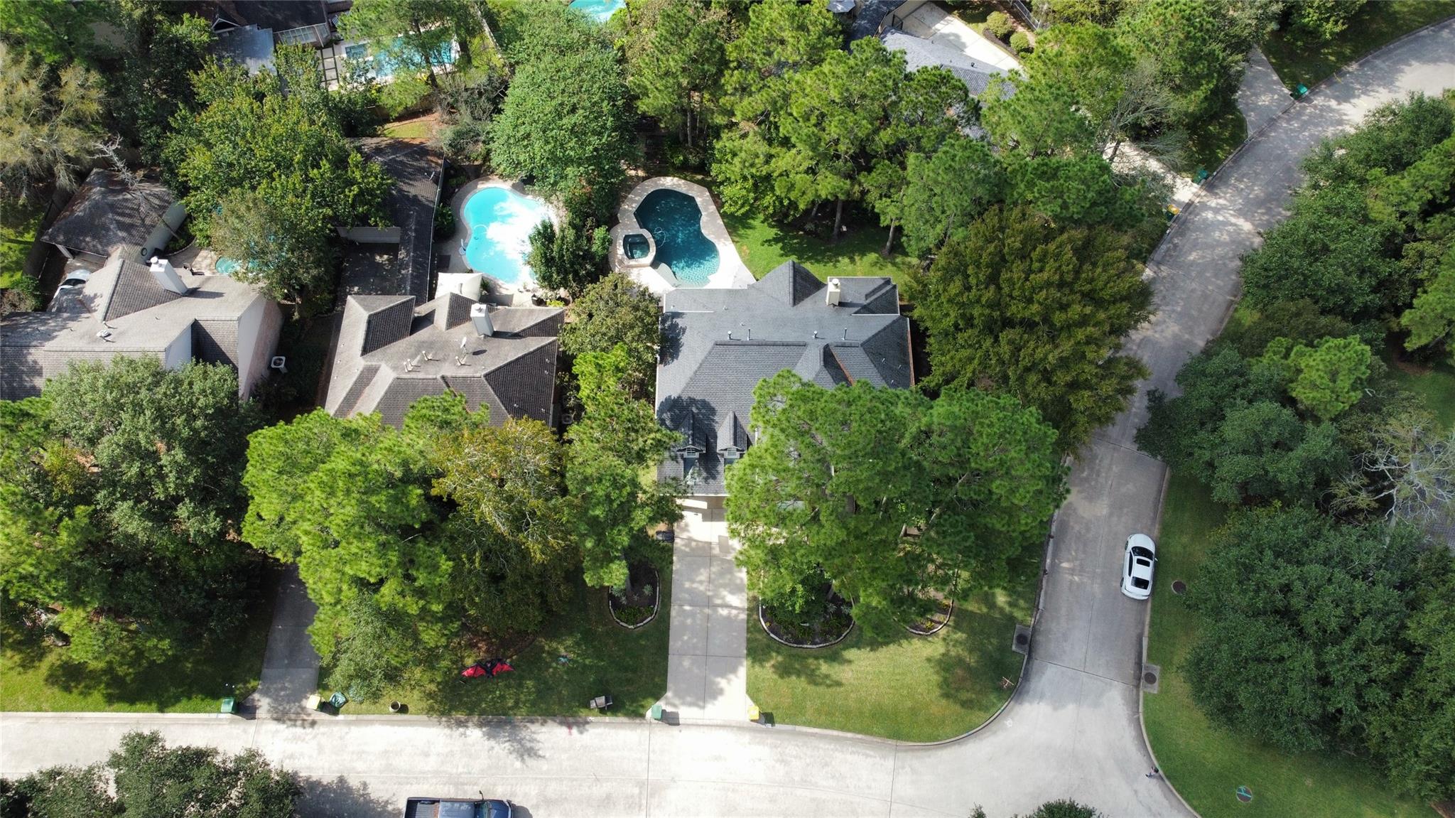 43 N Greenvine Circle