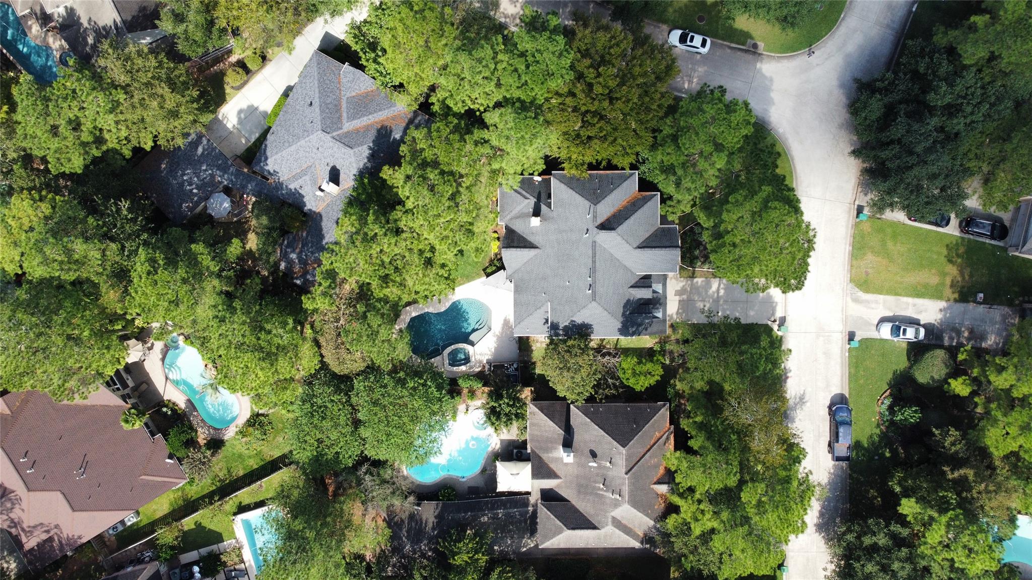 43 N Greenvine Circle