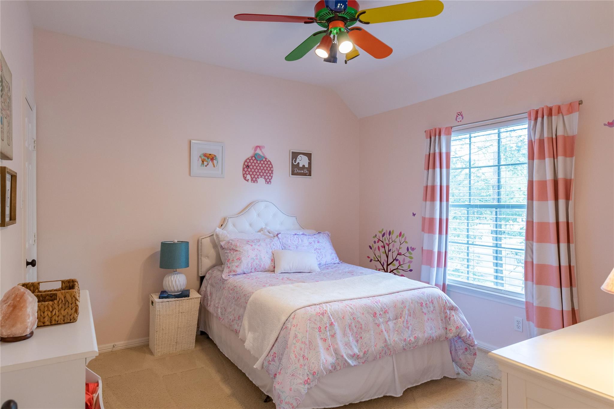 43 N Greenvine Circle