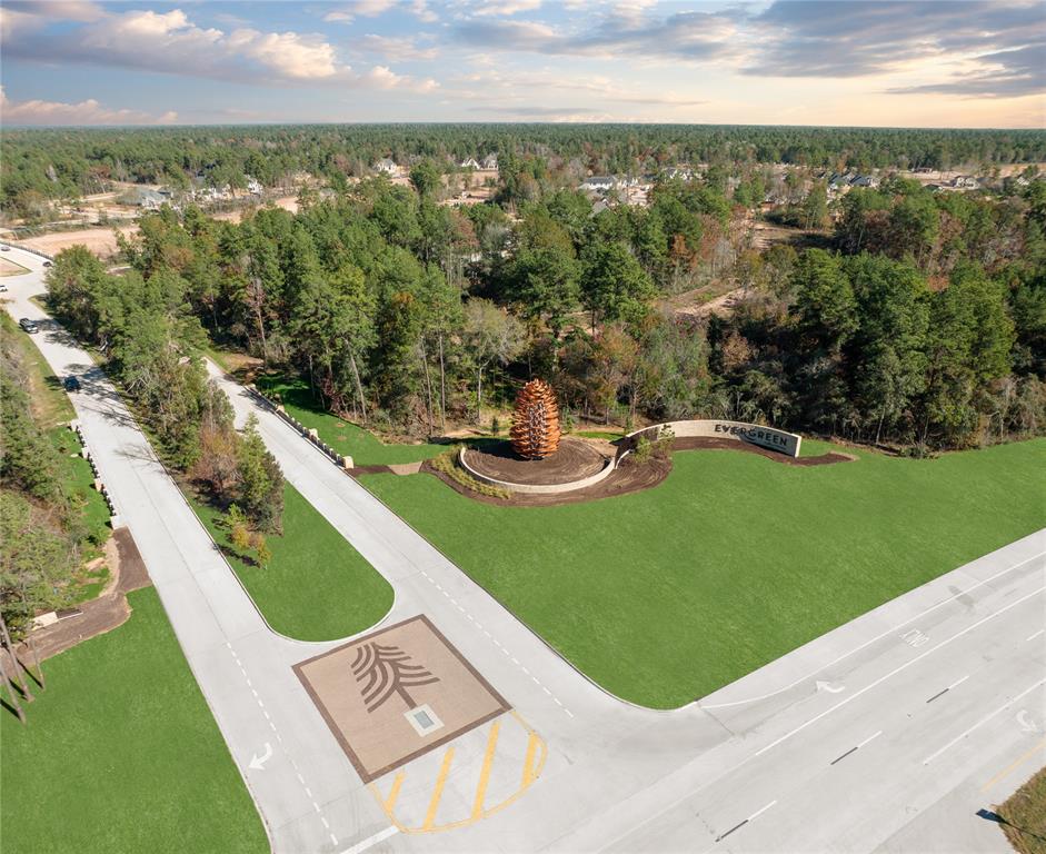 13034 Soaring Forest Drive