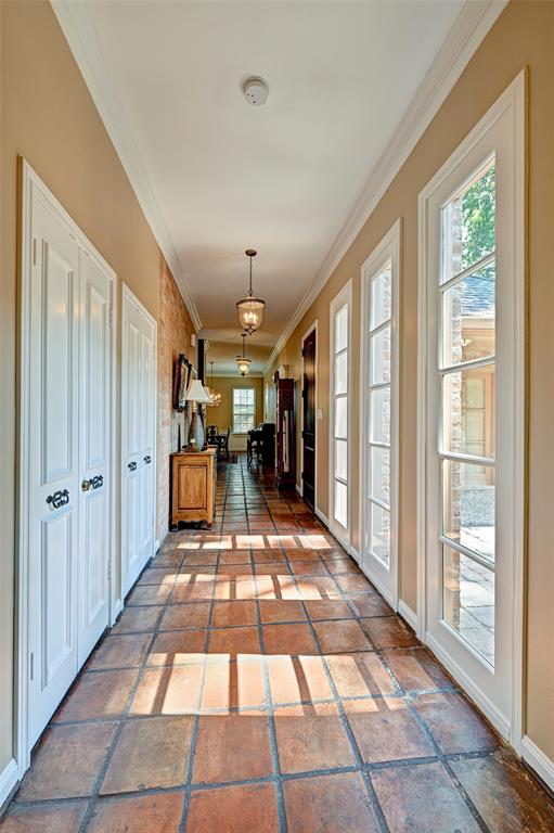 223 Tamerlaine Drive