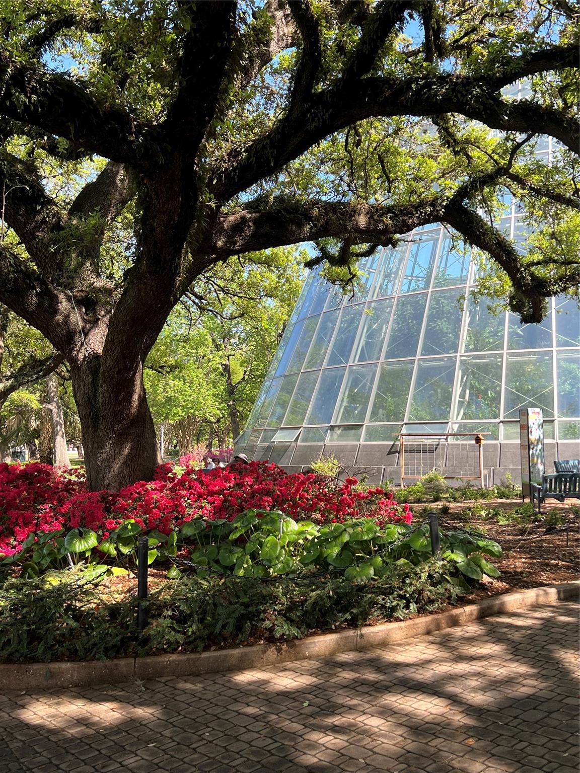 1400 Hermann Drive # 3H