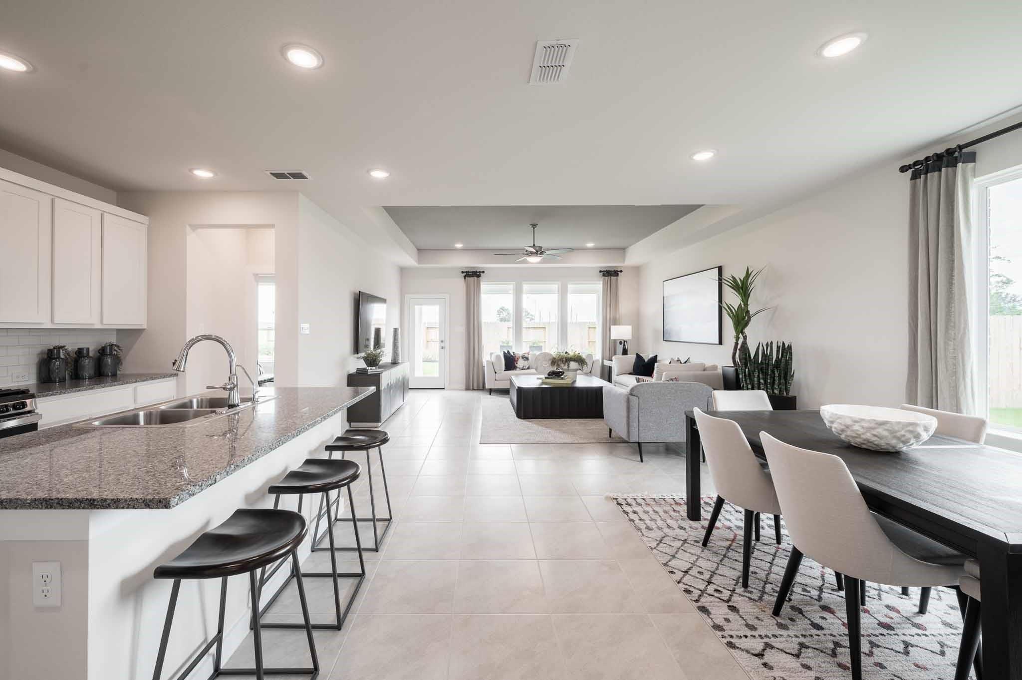 21811 Black Tulip Lane