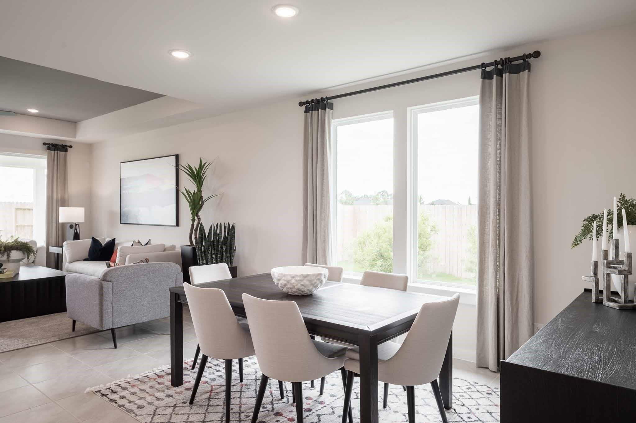 21811 Black Tulip Lane