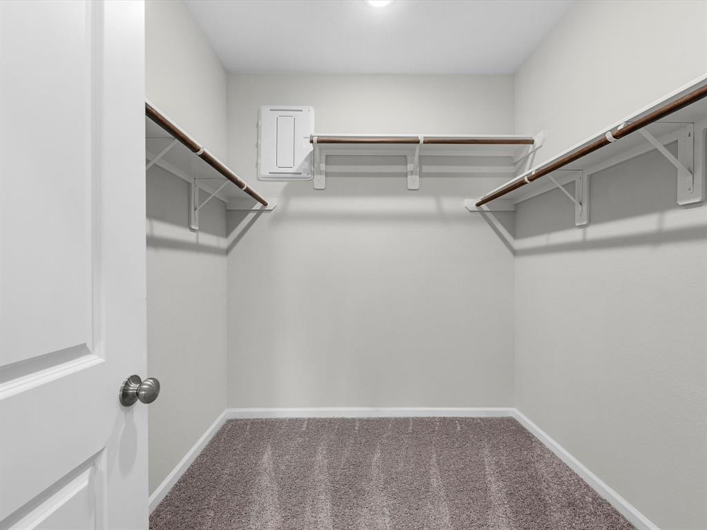 295 Intrepid Trail