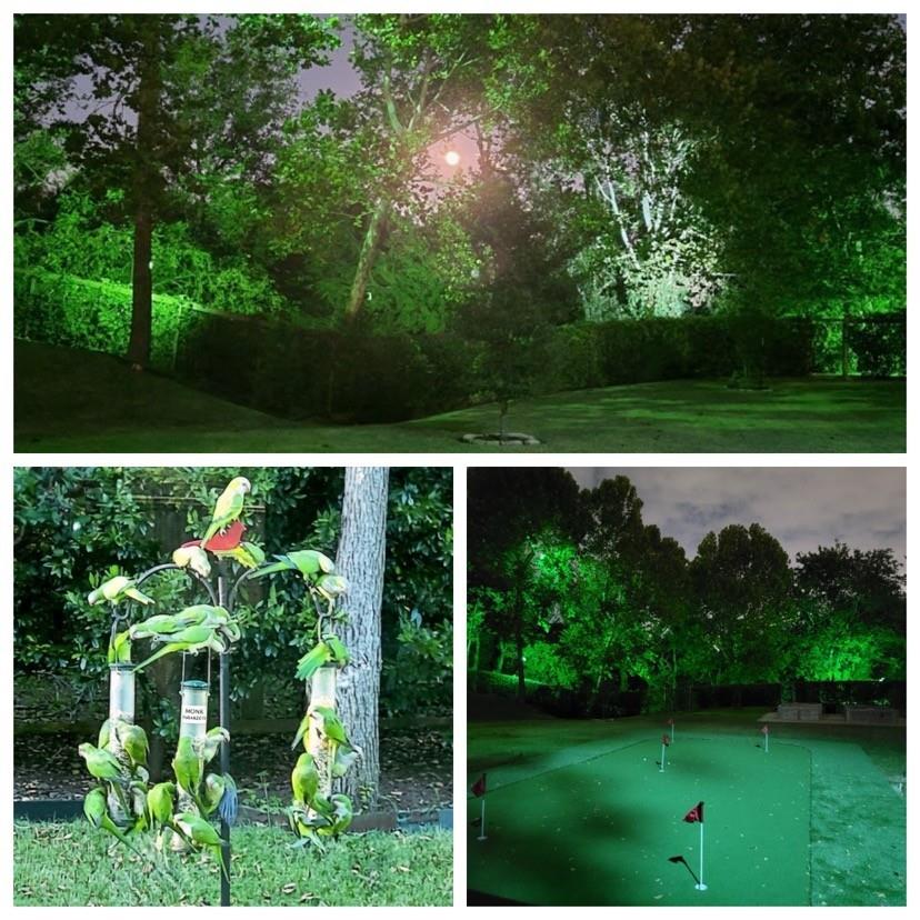 3922 Cotswold Street