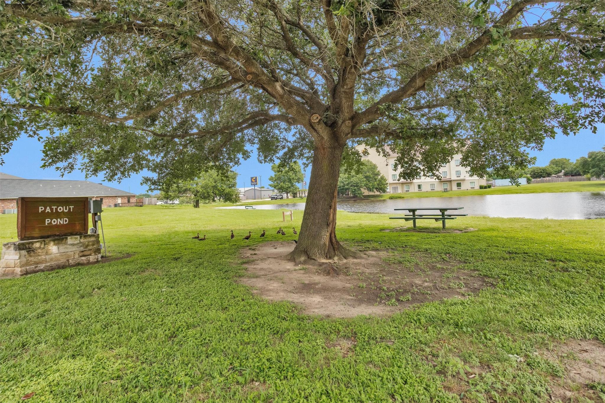 117 Dove Landing Court