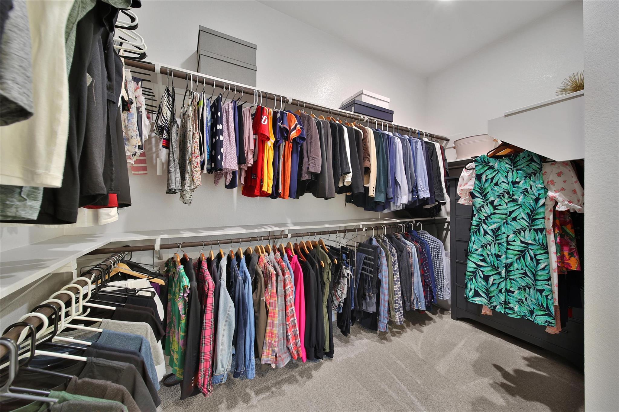 5018 Prairie Gourd Meadow