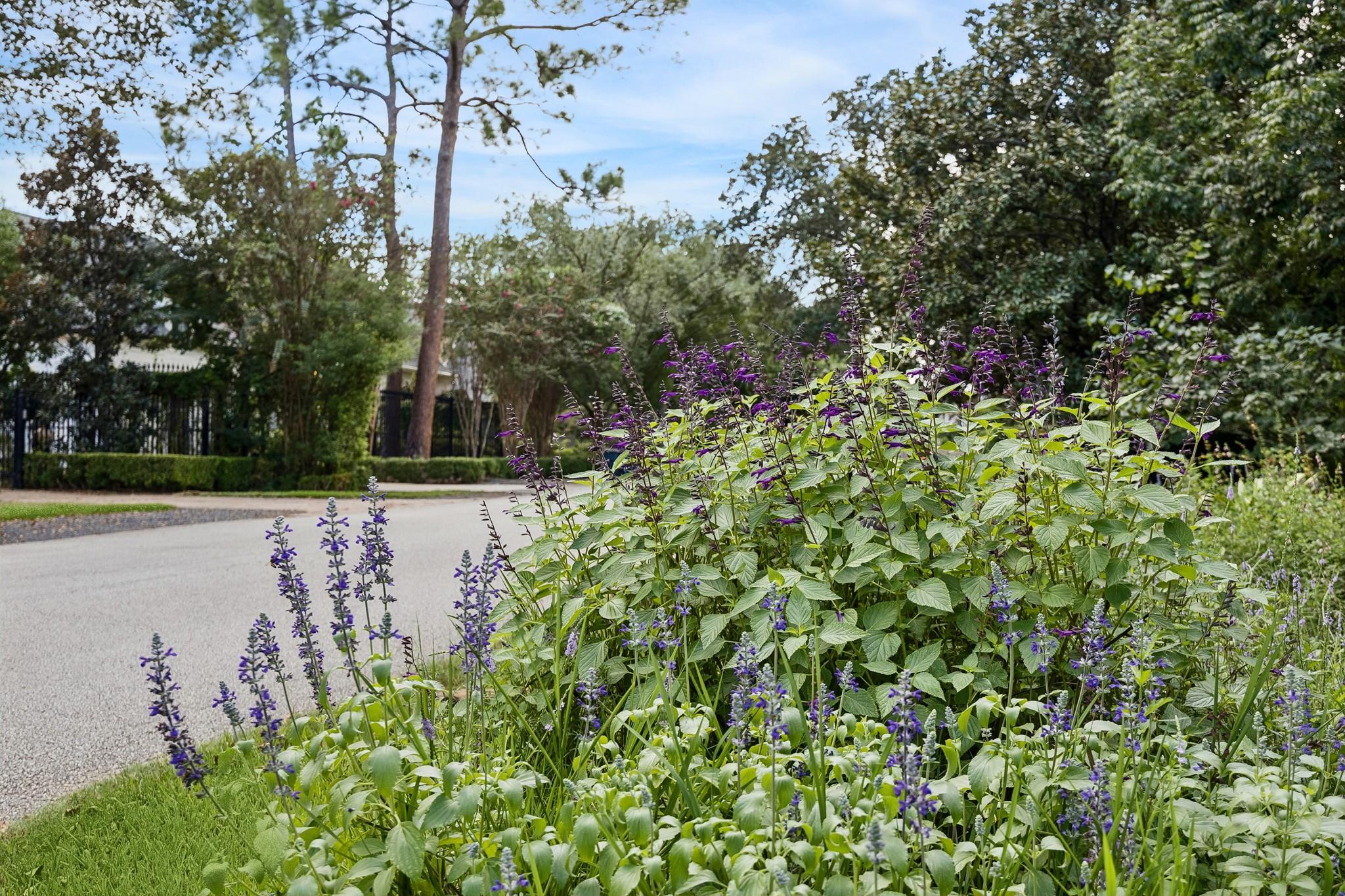 33 W Broad Oaks Drive