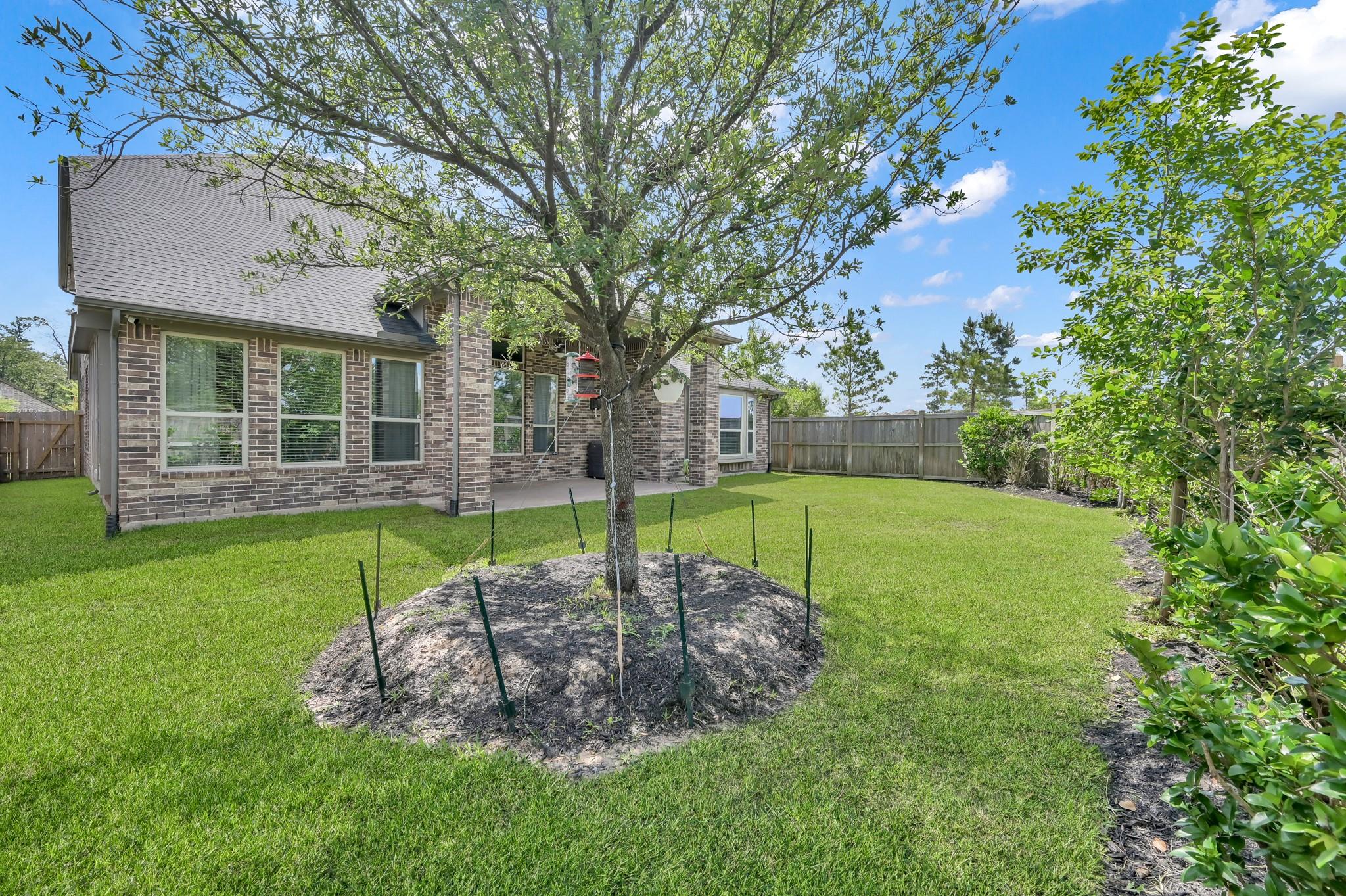 31308 New Forest Park Lane