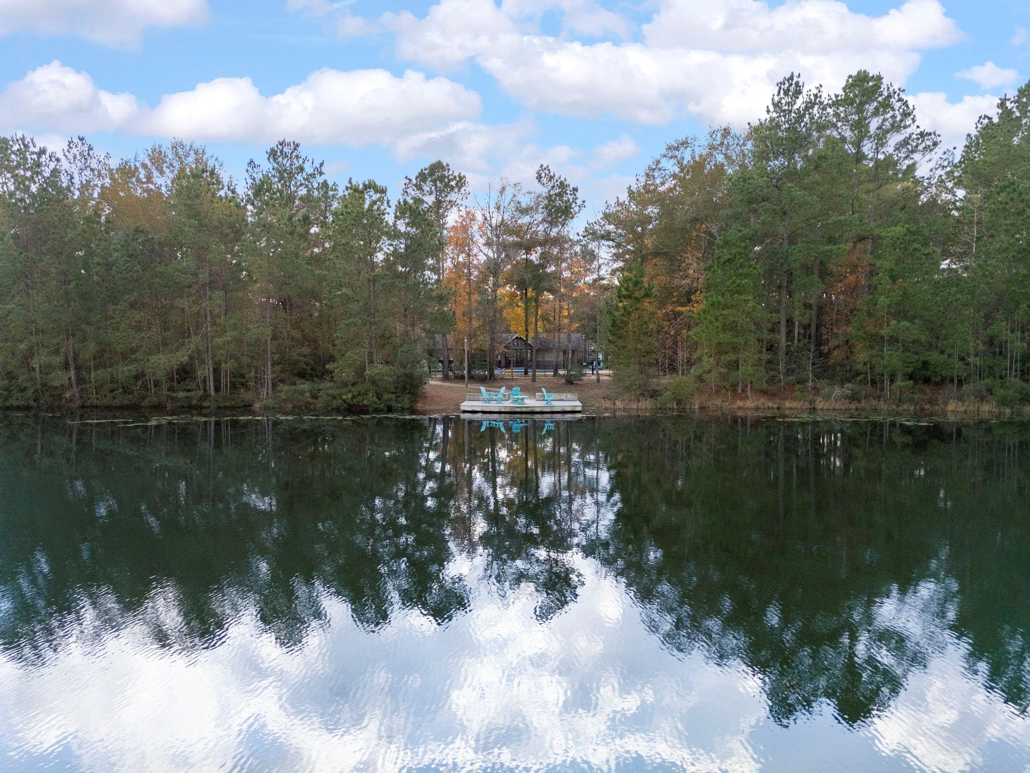 29001 Colin Court