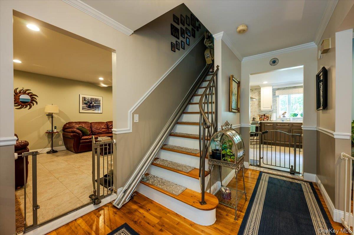 677 Meadow Road