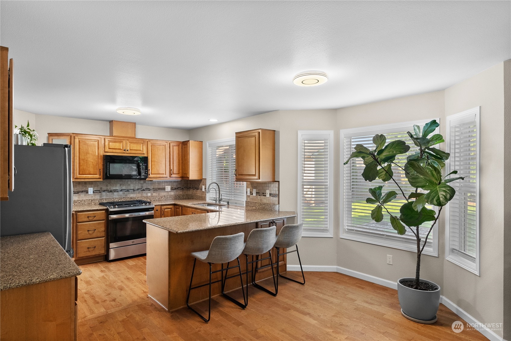 11302 224th Avenue Ct E